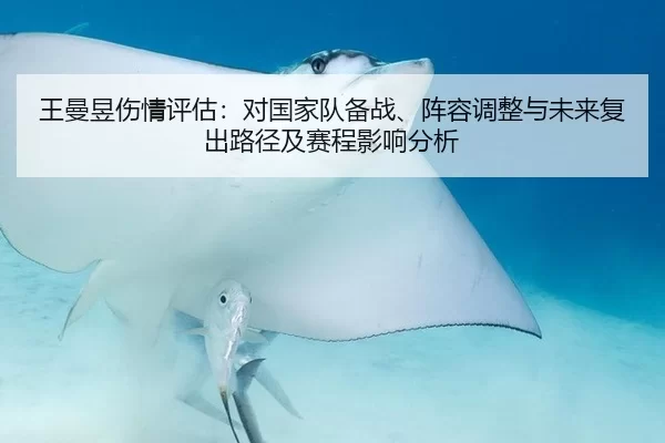 王曼昱伤情评估：对国家队备战、阵容调整与未来复出路径及赛程影响分析